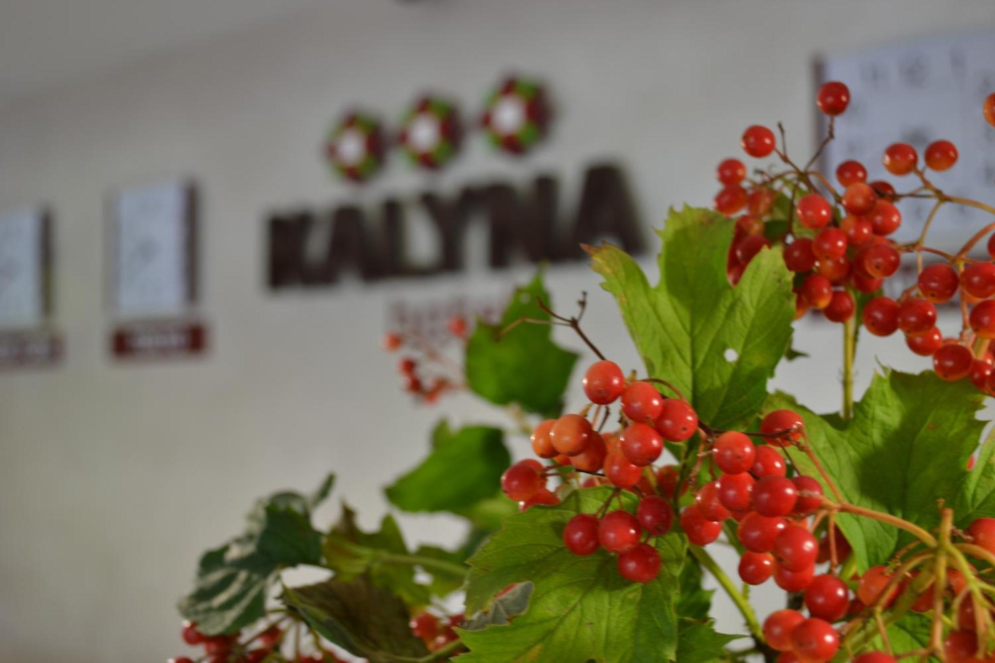 Hotel Kalyna Κχαρκίβ Εξωτερικό φωτογραφία